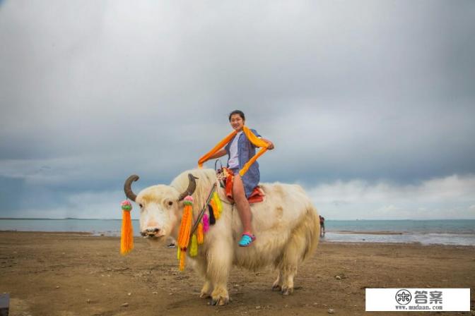 到青海旅游会不会高反？