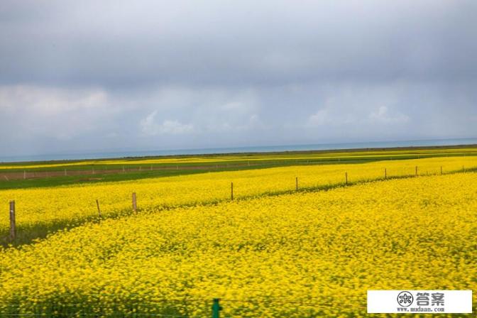 到青海旅游会不会高反？