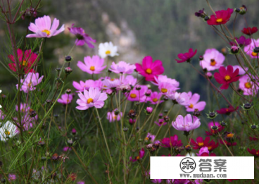 10月份或者11月份去武汉旅游好吗？