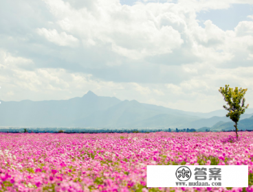 10月份或者11月份去武汉旅游好吗？