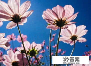 10月份或者11月份去武汉旅游好吗？