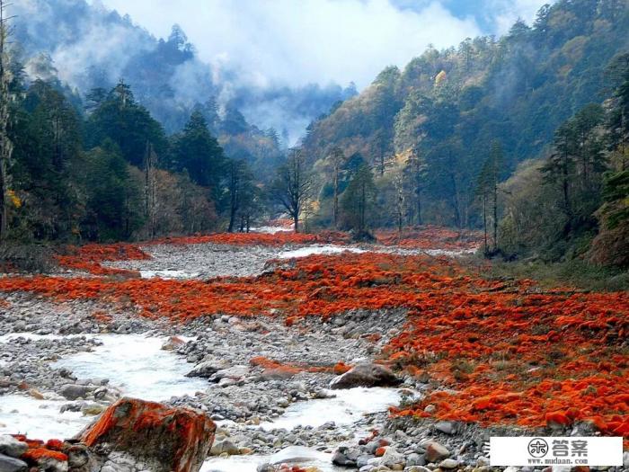 从成都出发自驾游稻城亚丁与林芝如何安排线路？