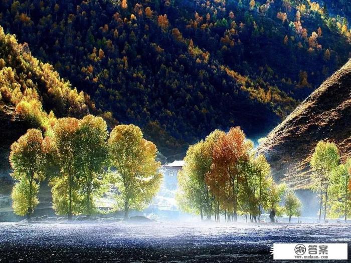 从成都出发自驾游稻城亚丁与林芝如何安排线路？