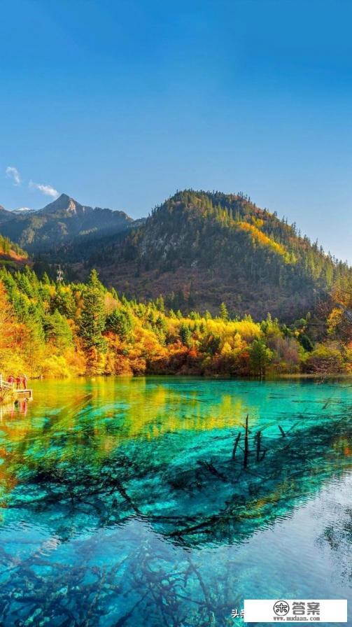 为何有的年轻人，明知收入不高却毅然投入信用卡网贷“大军”的套路里？