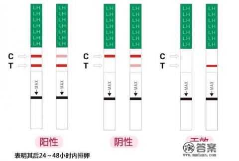 排卵试纸可以测早期怀孕是真的吗？