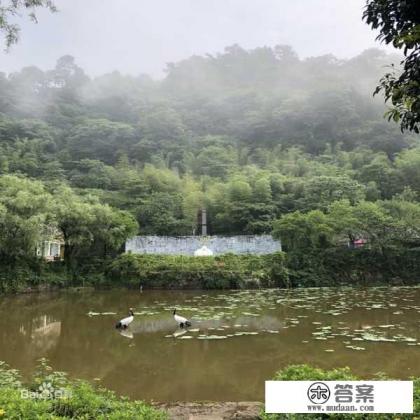 重庆团建地点推荐一天一晚？