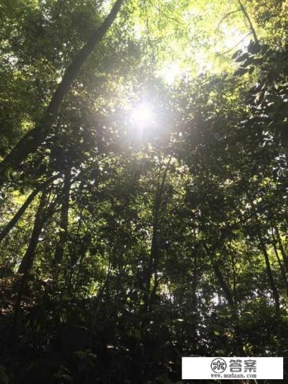 重庆团建地点推荐一天一晚？