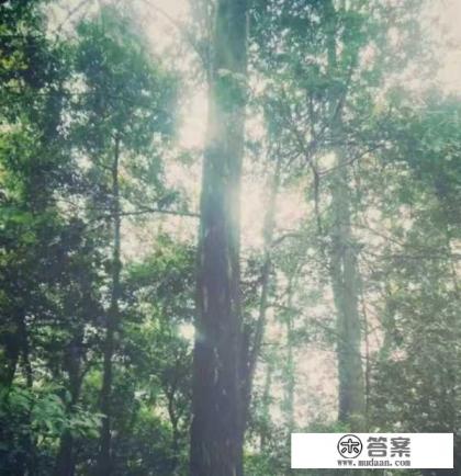 重庆团建地点推荐一天一晚？