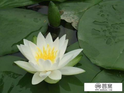 生老病死人之常情，有的人年纪轻轻就去世了，是命中注定的吗？