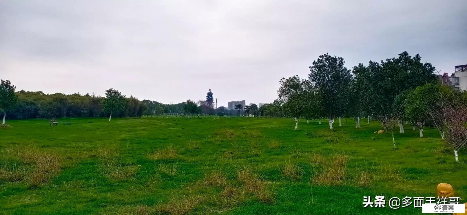 三年级一二三课新鲜感的词语和句子？