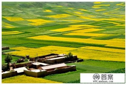 三年级一二三课新鲜感的词语和句子？