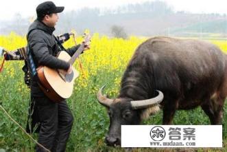 膝关节置换手术怎么做的？人工假体如何选择？