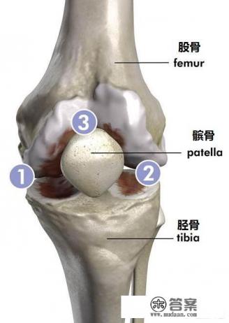 膝关节置换手术怎么做的？人工假体如何选择？
