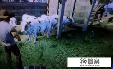 西部牛仔游戏剧情是什么？