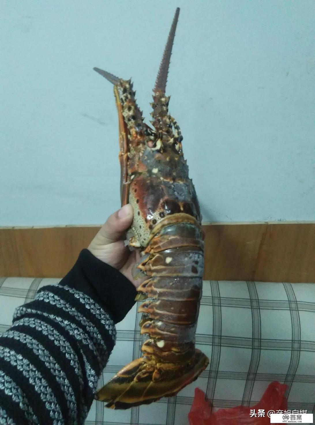 大学生一个月的生活费大概需多少？