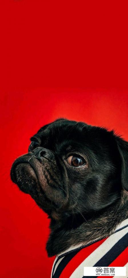 手机360杀毒怎么样？