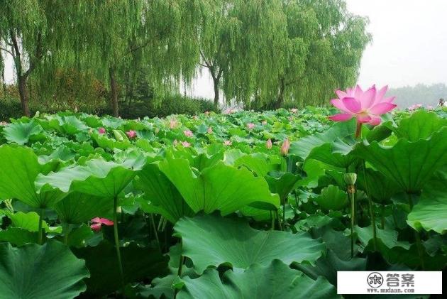 很多人一到放假就会想到外出旅游，但是很多人都不知道该携带哪些随身用品以防不备，到底该带什么？