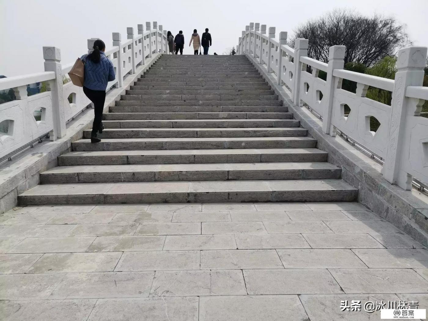 我伺候女儿坐月子，帮做所有家务活，女婿沉迷游戏，俩口子吵架骂脏话还动手打人该怎么办？