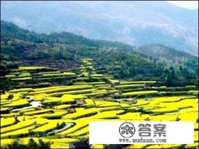 婺源十大旅游景点排名？