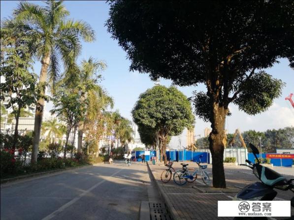 旅游大巴和其他大巴的区别？