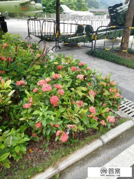 旅游大巴和其他大巴的区别？