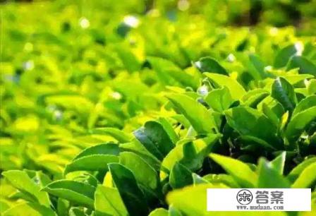 今年要去海南大学材料专业了，亲爱的学姐学长们，有什么建议吗？能客观的描述一下那里的生活和材料专业吗？