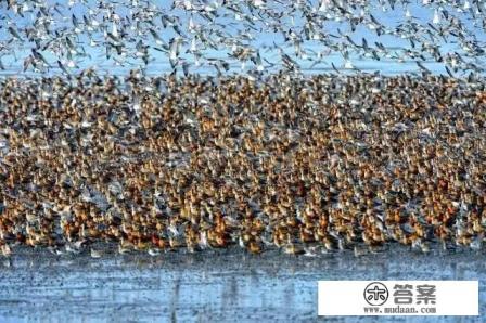 辽宁东港市有哪些旅游资源? 辽宁东港市有哪些旅游资源?