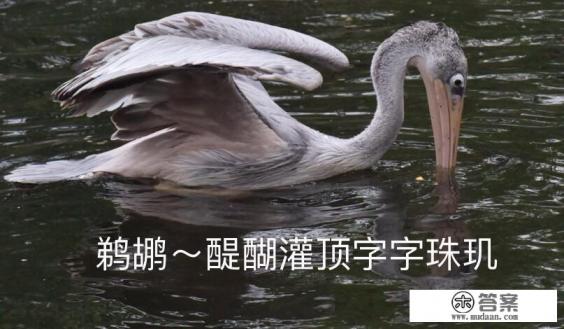 便携相机推荐，画质较好的，旅行用。以前用a6000，有什么推荐？