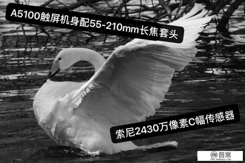 便携相机推荐，画质较好的，旅行用。以前用a6000，有什么推荐？