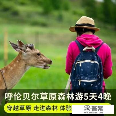 沈阳出发内蒙自驾游最佳路线？