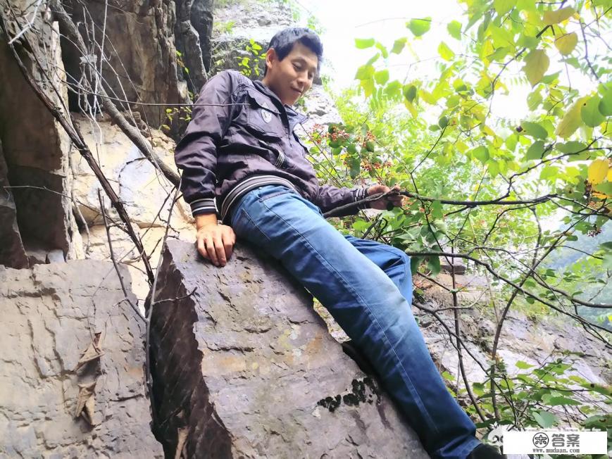 野生猕猴桃和普通猕猴桃区别？