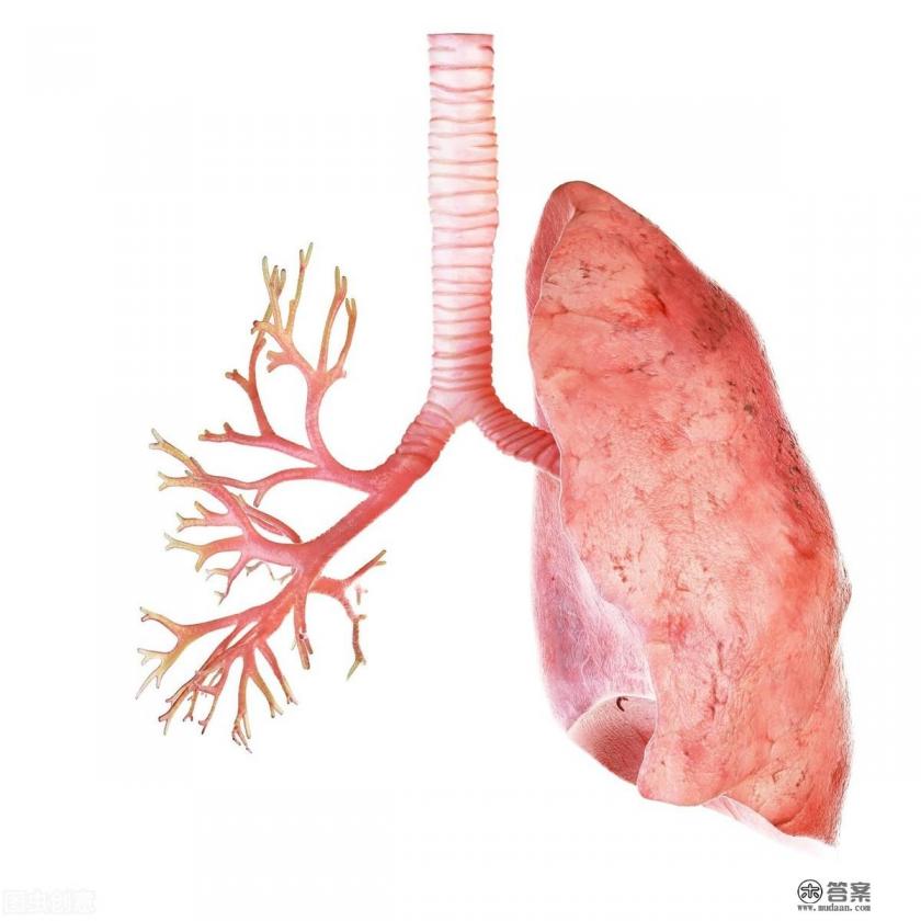 肺囊性纤维化期间能做运动吗？