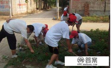 大学生社会实践活动内容？