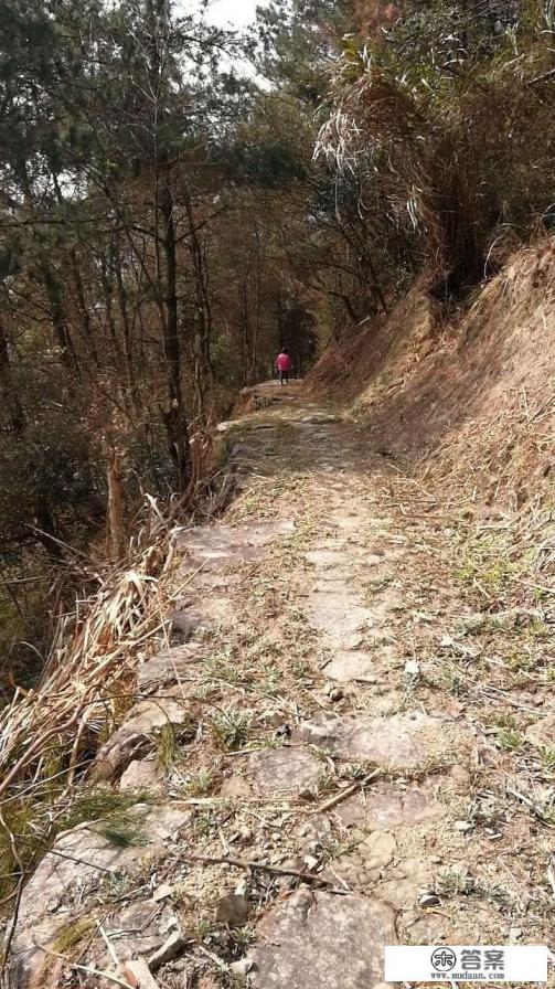 你认为和朋友包车组团去旅游可行吗？