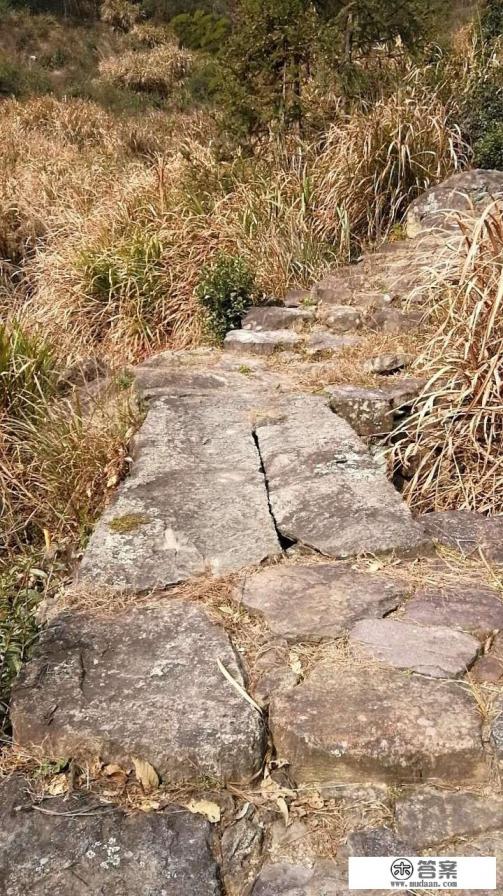 你认为和朋友包车组团去旅游可行吗？