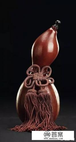 中医师和中西医结合医师什么区别？