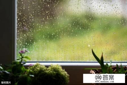 主角叫刘念林枫的小说曾经爱过我?