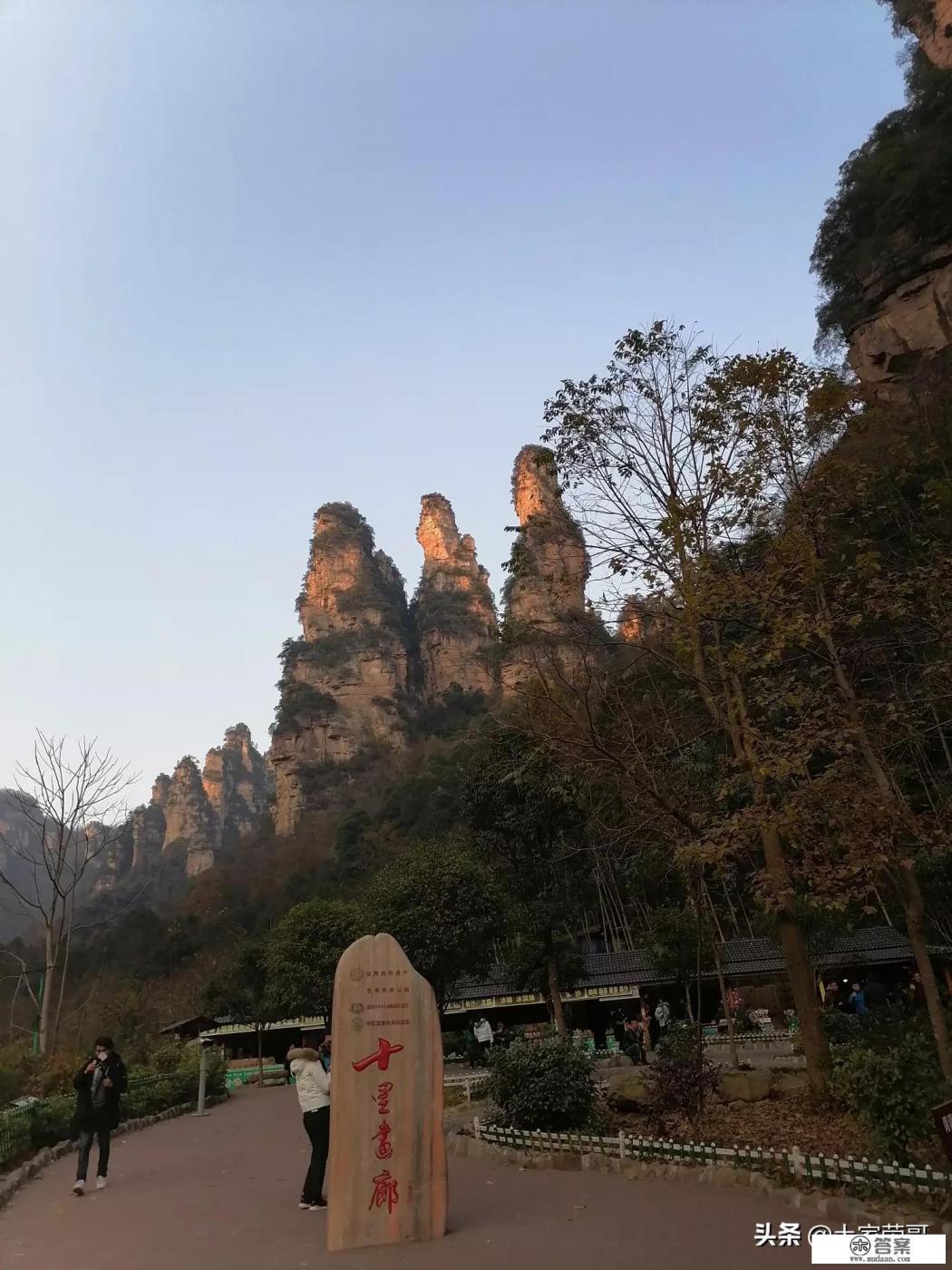 你和哪个明星一起去旅游过啊？