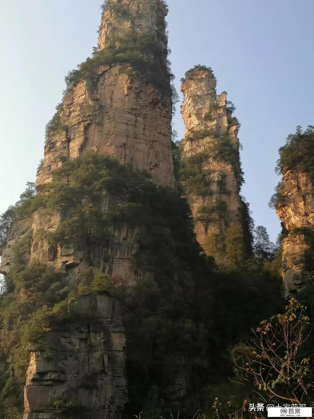 你和哪个明星一起去旅游过啊？