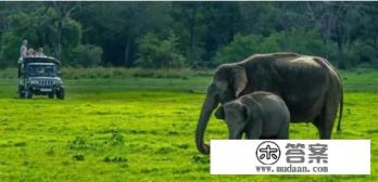 上海到斯里兰卡的航班经过哪里？