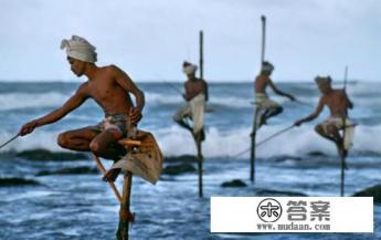 上海到斯里兰卡的航班经过哪里？