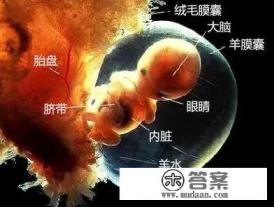 怀孕50天了，宫内隐约可见卵黄囊，未见胚。这孩子我非常想要，可又怕孩子不健康。怎么办？