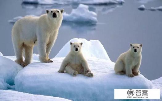 瑞典丹麦芬兰挪威哪个好？