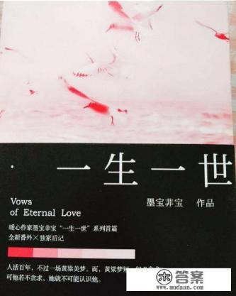 墨非墨宝的小说？