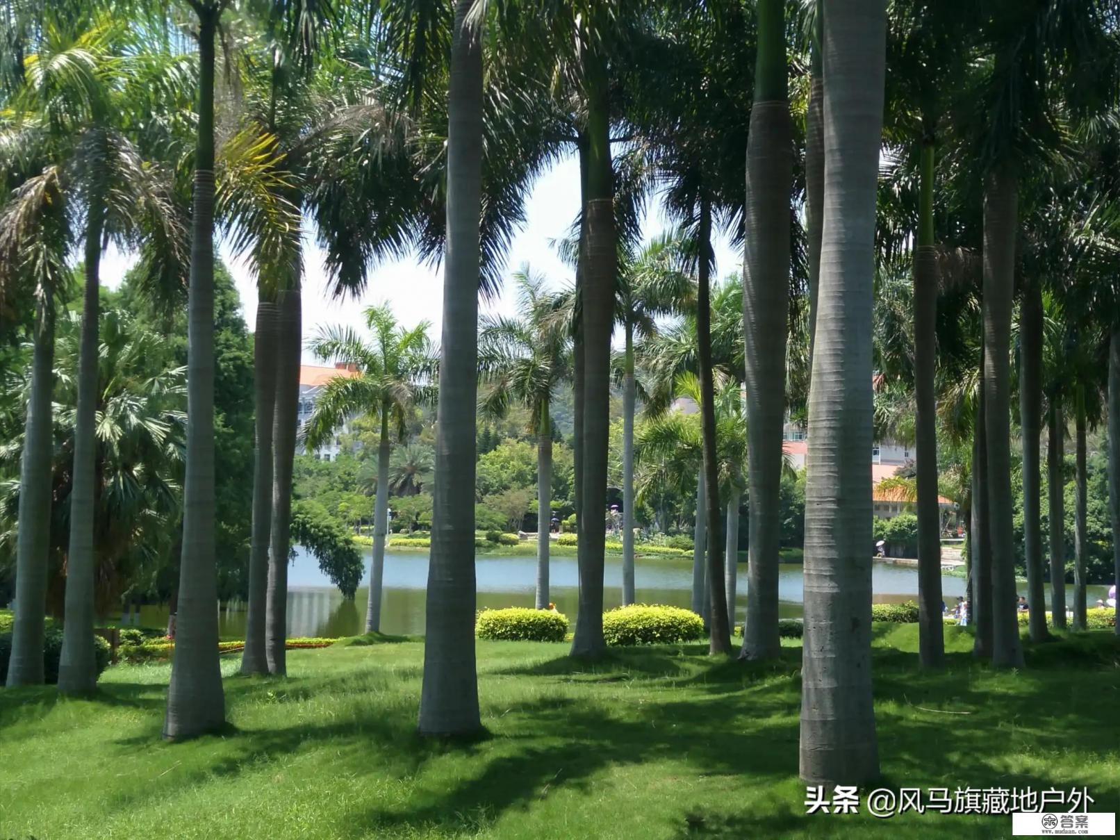 厦大怎么预约进去？