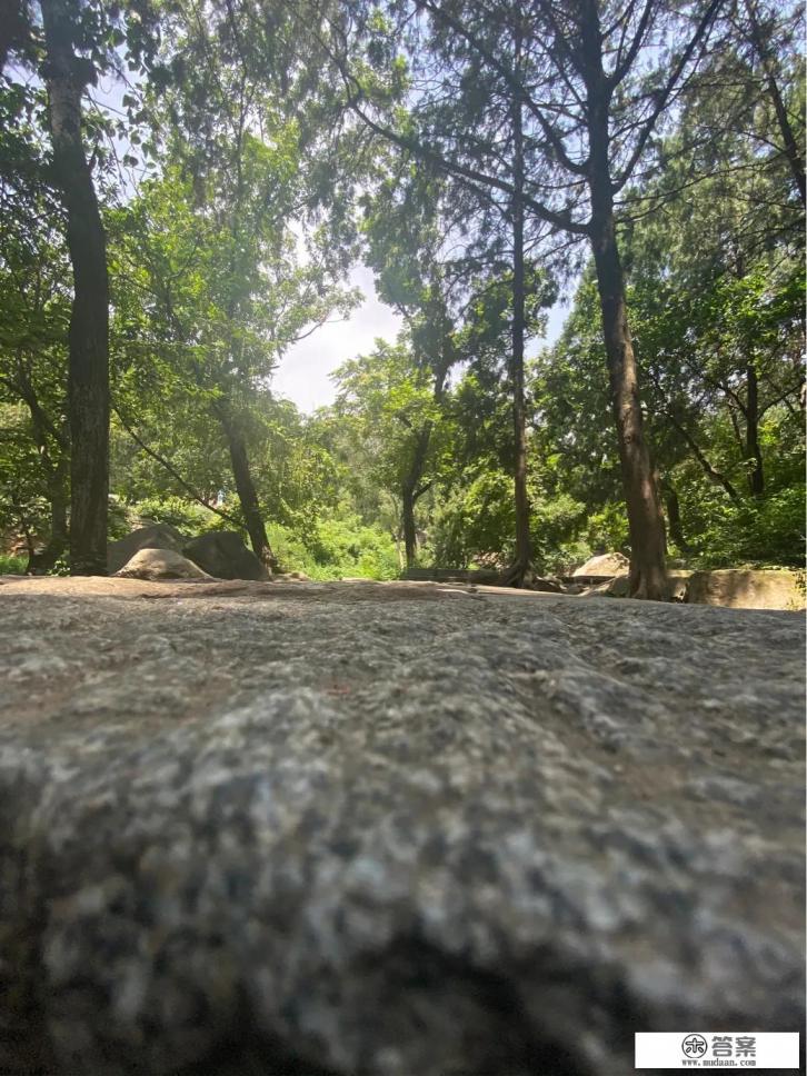 农村人生三四个孩子都不怕?为什么城市人生一个不敢要二胎了? 农村人生三四个孩子都不怕?为什么城市人生一个不敢要二胎了?