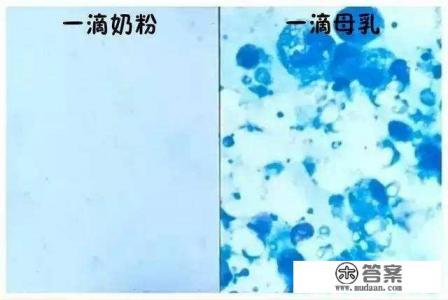 什么样的奶粉较接近母乳,可以快速提高宝宝抵抗力?