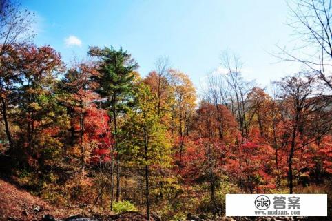 伊春有哪些都市或者历史传说？