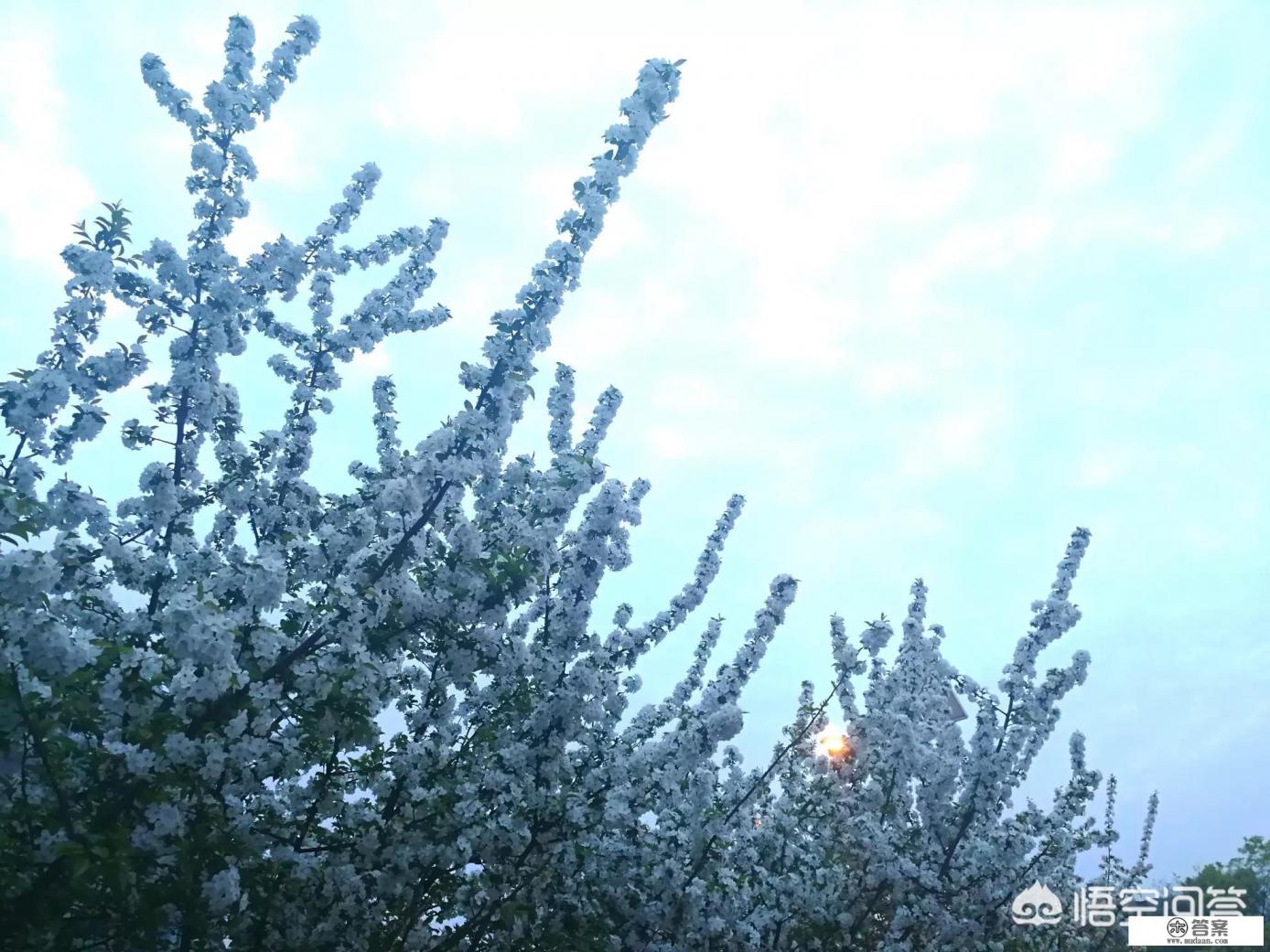 祛胎毒吃什么最好?