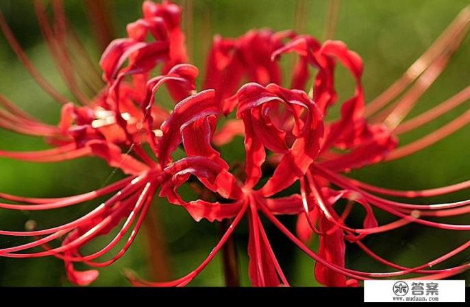 自己亲妹妹，几年前把心给我伤透，现在知道自己错了，想跟我搞好关系，怎么办？